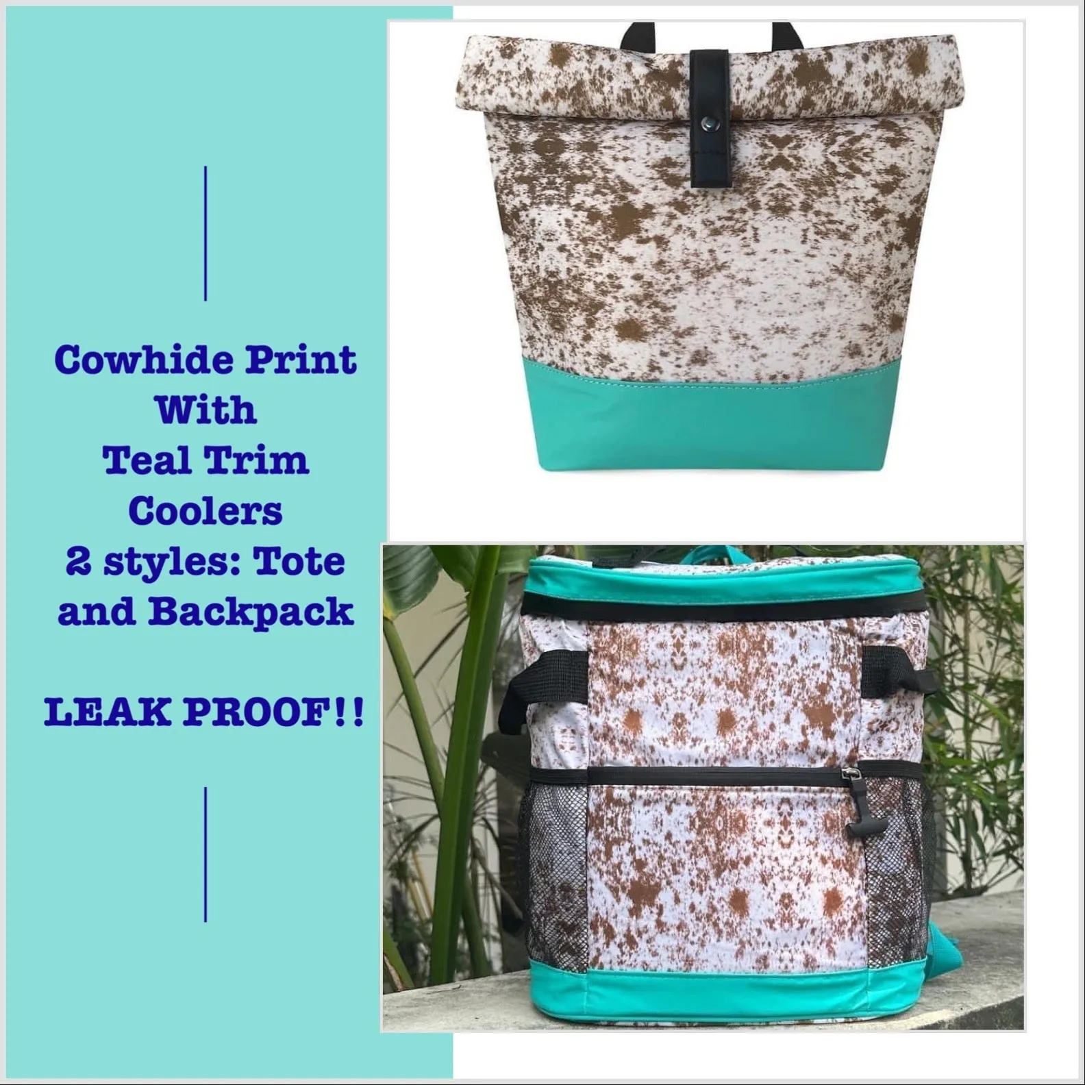 COW PRINT WITH TEAL TRIM COOLERS