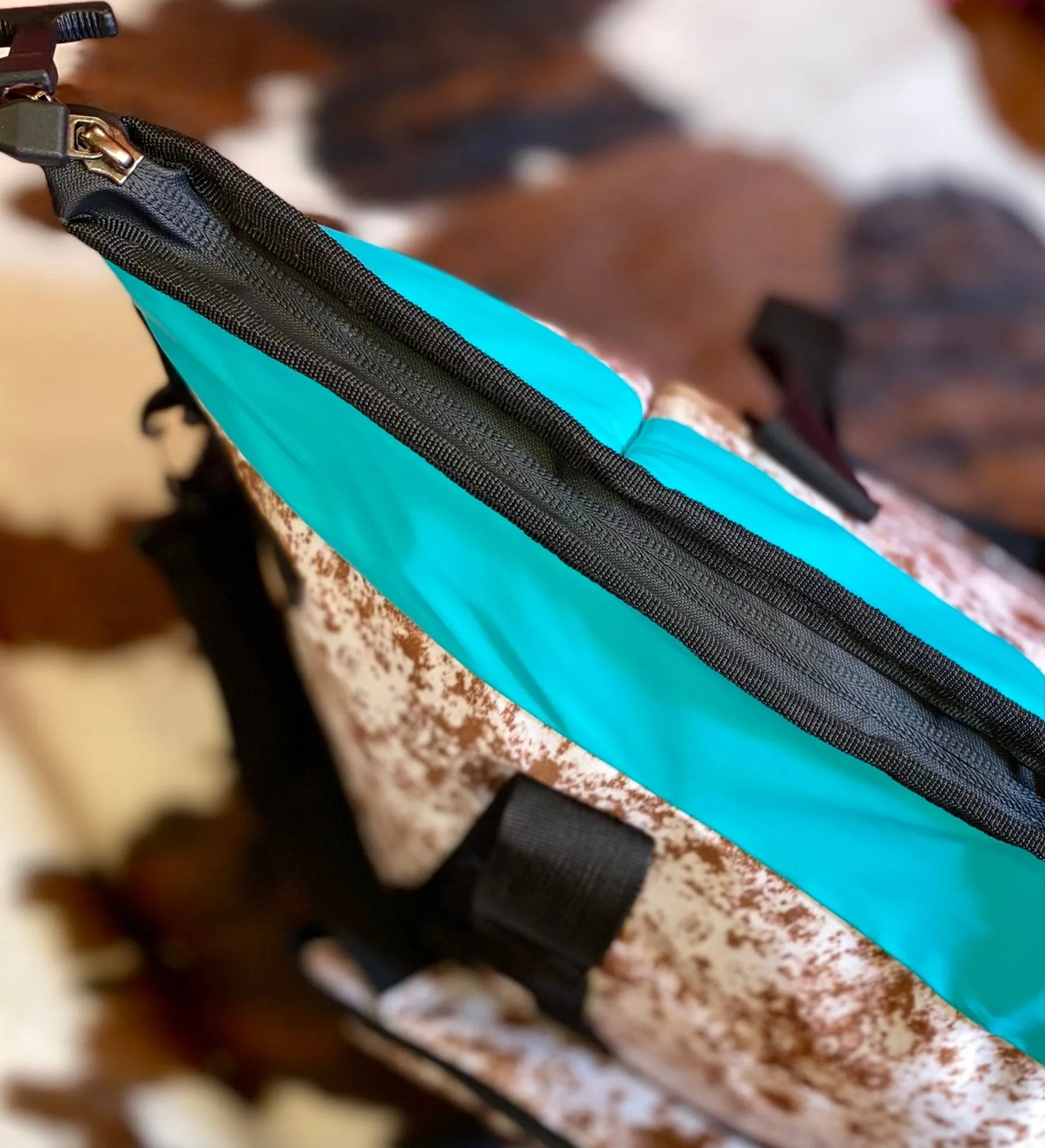 COW PRINT WITH TEAL TRIM COOLERS