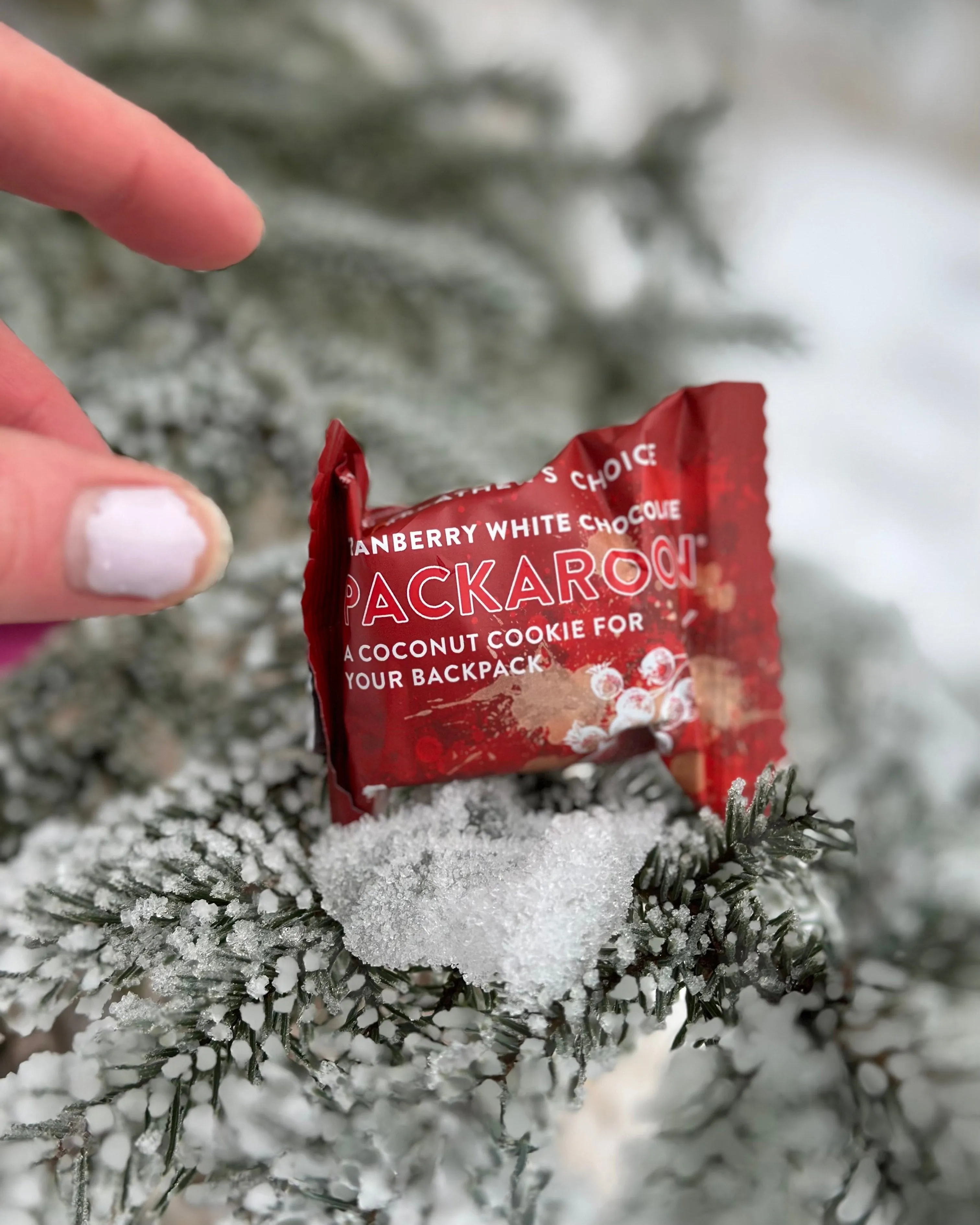 Cranberry White Chocolate Packaroons® (Ten Pack)