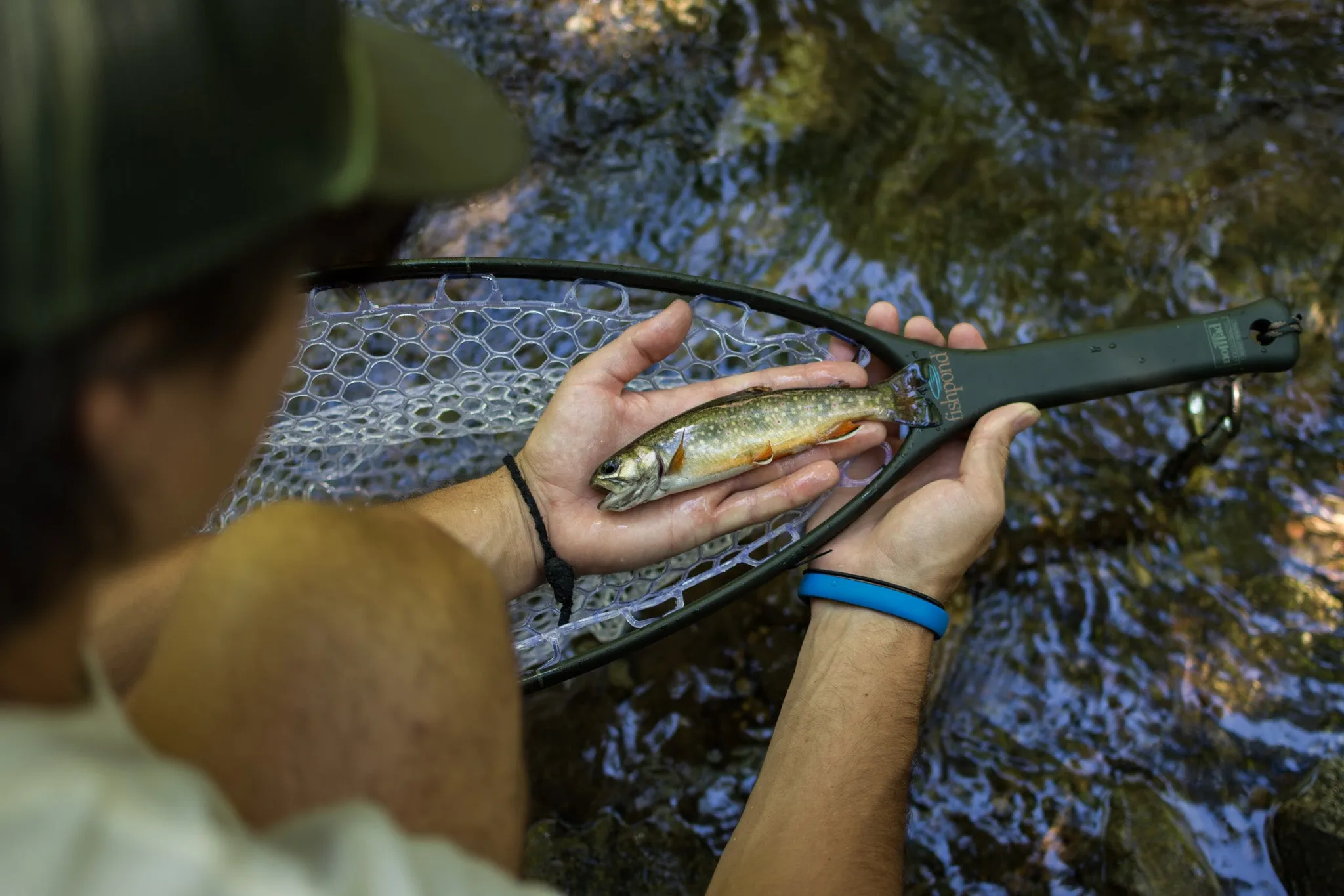 Fishpond Nomad Native Net