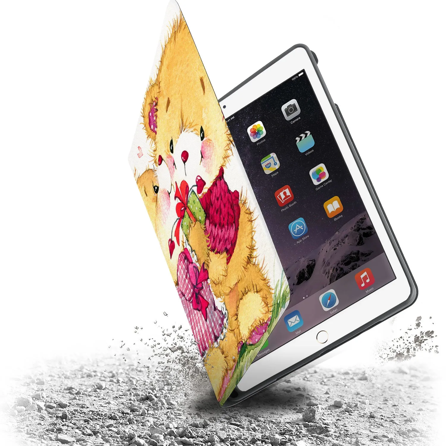 iPad Folio Case - Bird